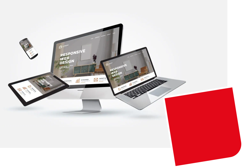 swissnet_Web Design swissnet_Web Design